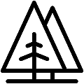 Spruce Vector SVG Line Icon