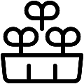 Microgreens Vector SVG Line Icon