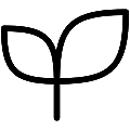Seedling Vector SVG Line Icon