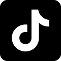 Tiktok Square Vector SVG Icon